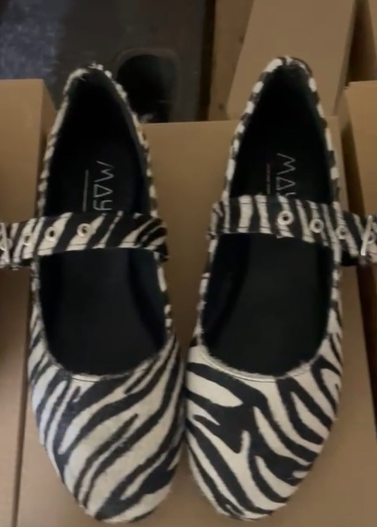 Flats zebra