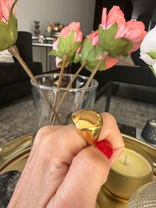 Anillo xl