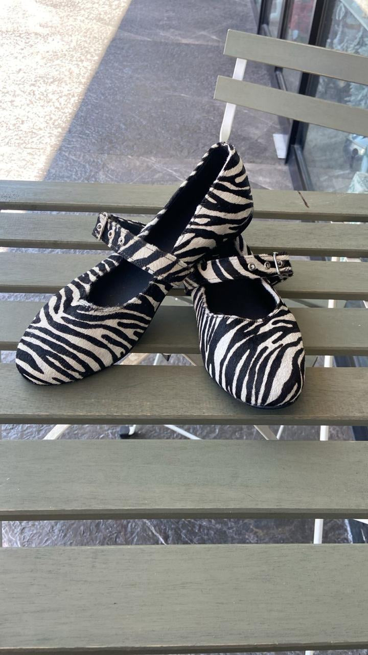 FLATS CEBRA